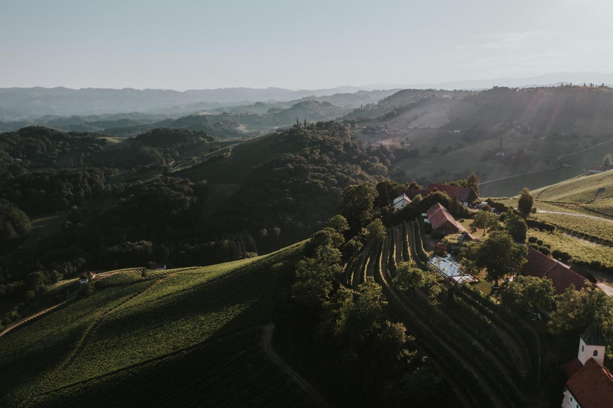 Winzarei, Weingut Tement Villa Berghausen Екстериор снимка